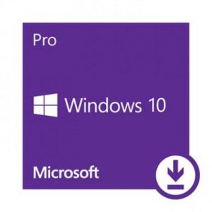 MICROSOFT WINDOWS 10 PROFESSIONAL ESD